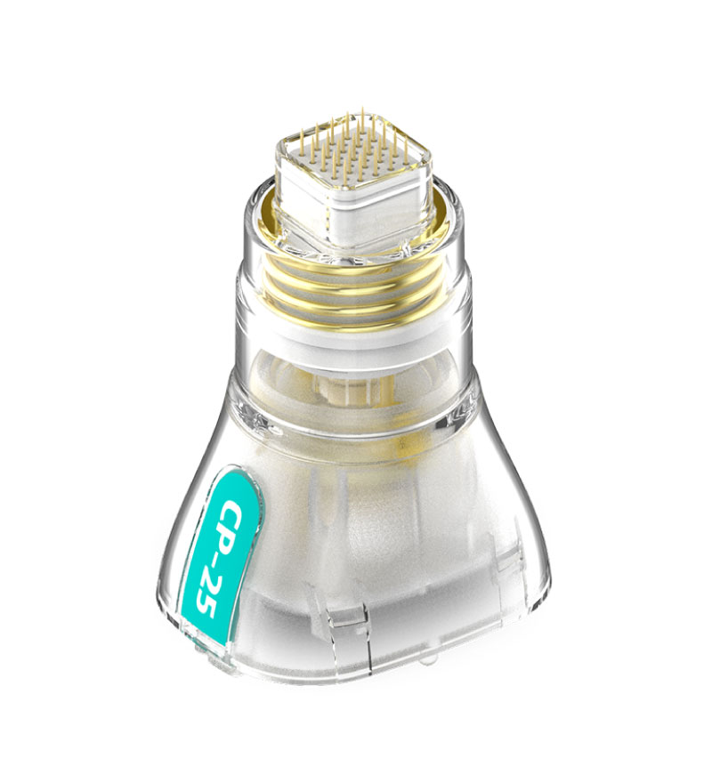 CP-25チップ